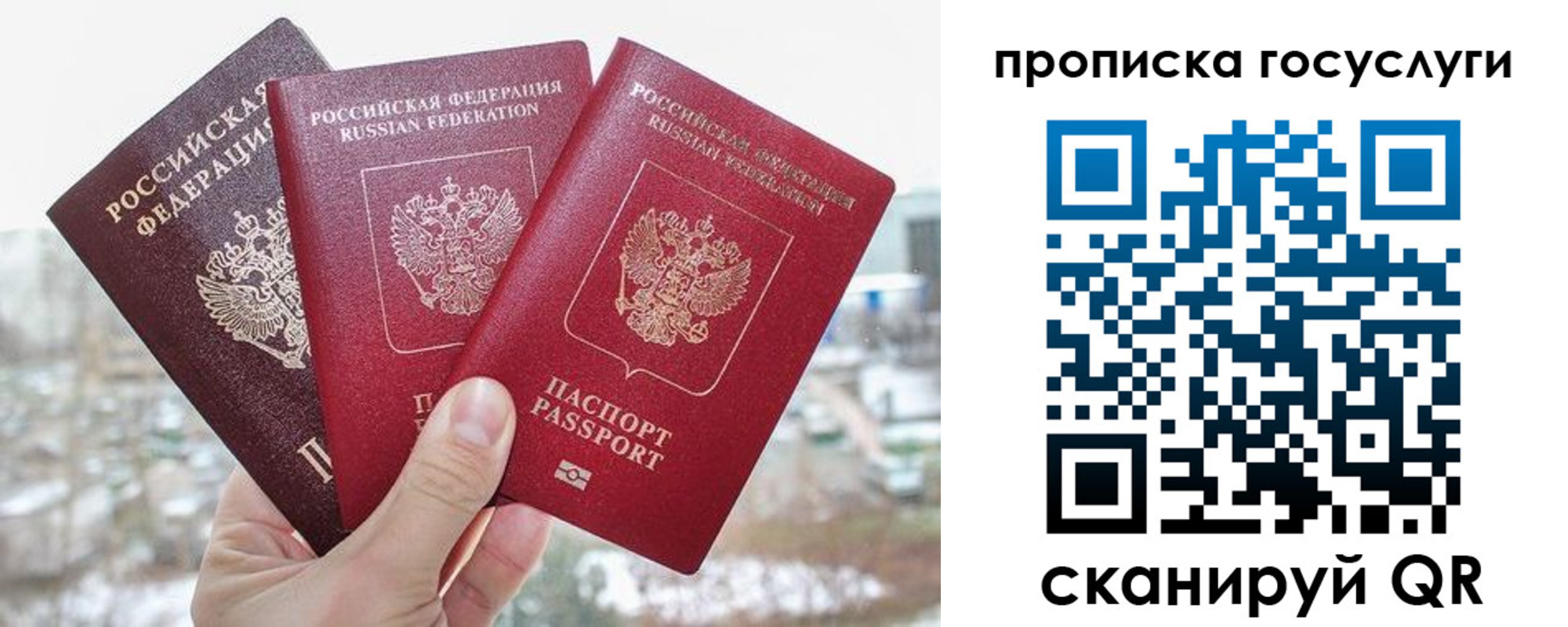 прописка законно в Люберцах