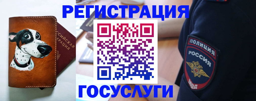 временная регистрация в квартире в Люберцах